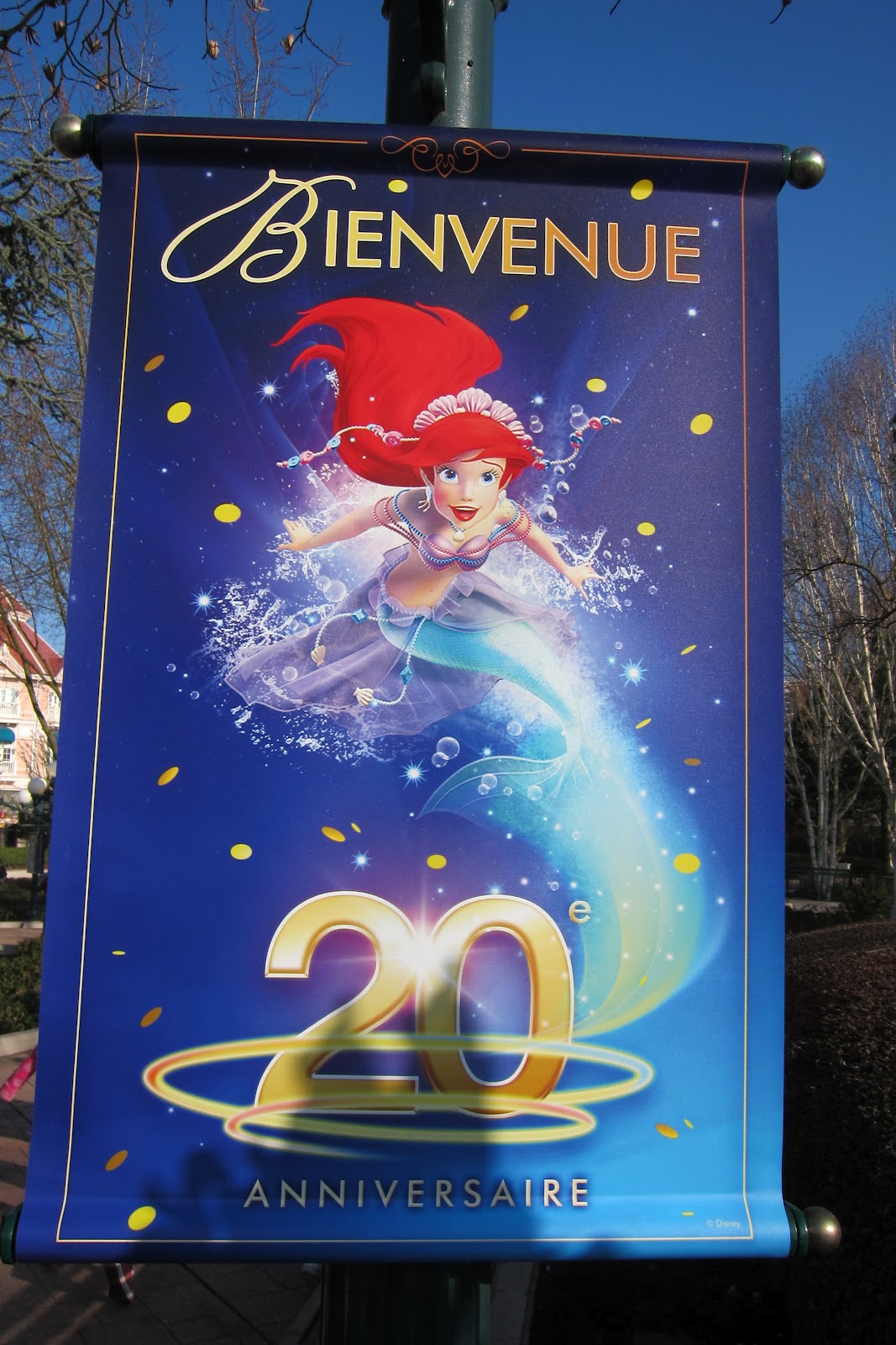 Disneyland Paris Cast Member 20th anniversary entrance flags