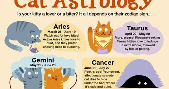Toni's Tarot: Cat Astrology