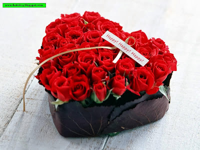 Red Rose Gift For Your GirlFriends 2014