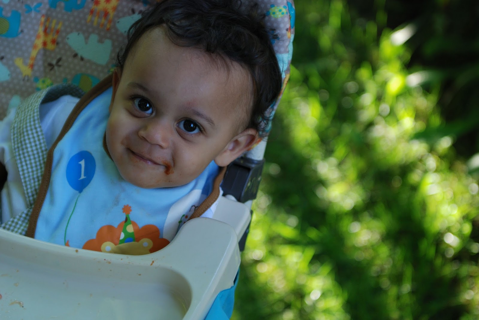 three-cats-and-a-baby-jayden-s-first-birthday-party