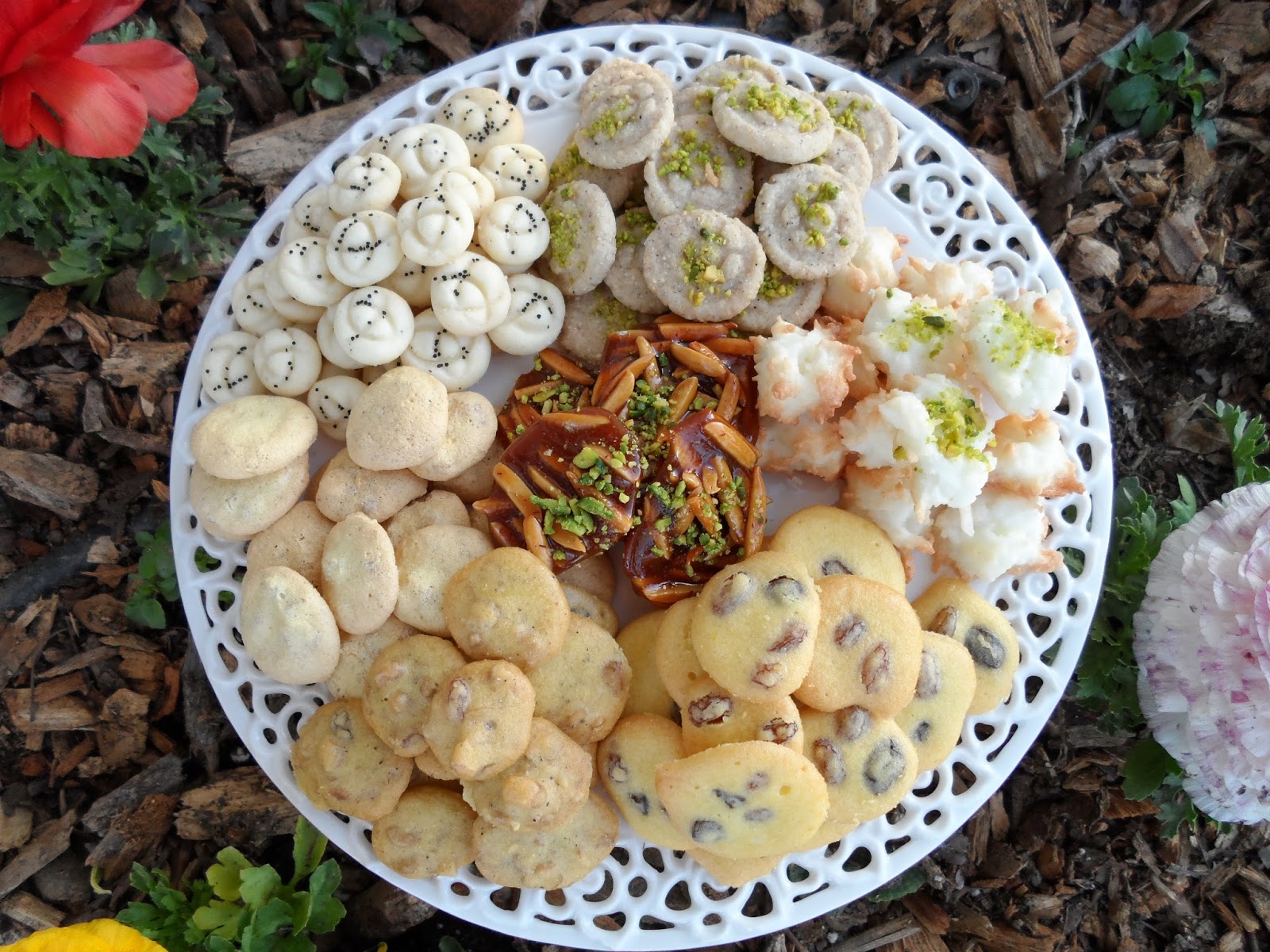 Persian new year FatmaRahmaan