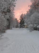 Tack för att du tittade in! Kiitos kun poikkesit!