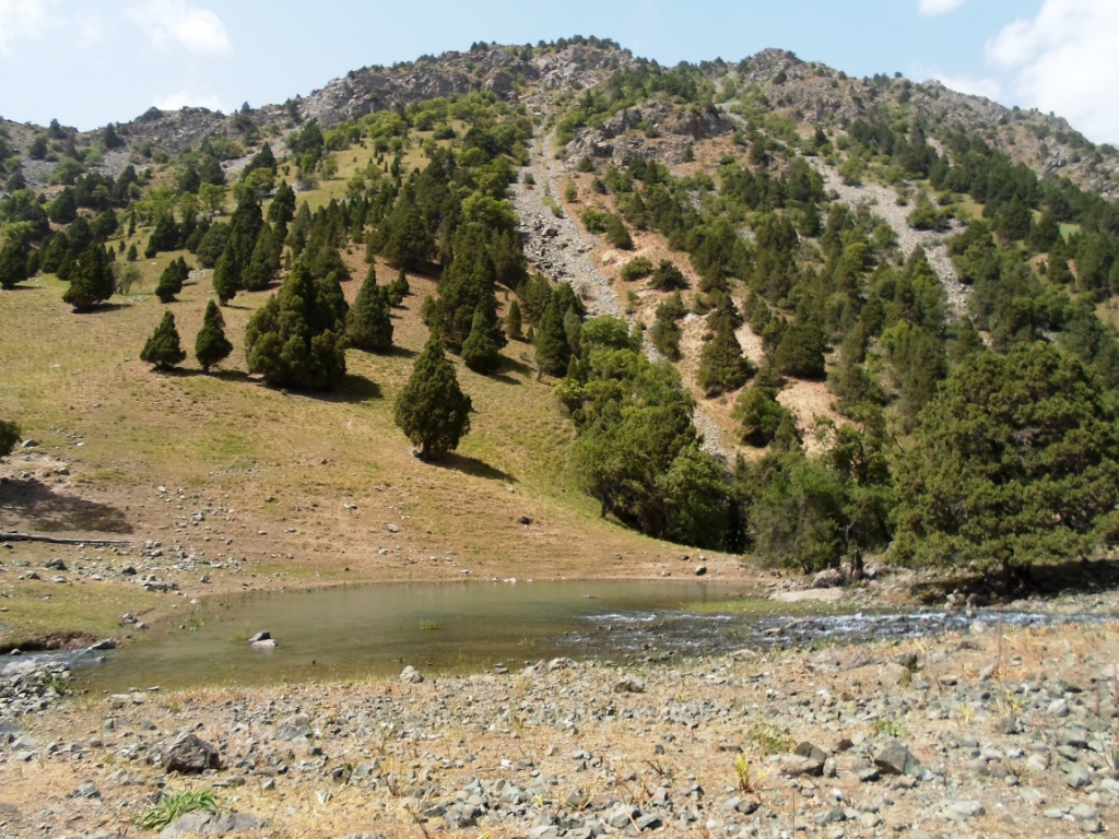 Дом отдыха каратаг таджикистан