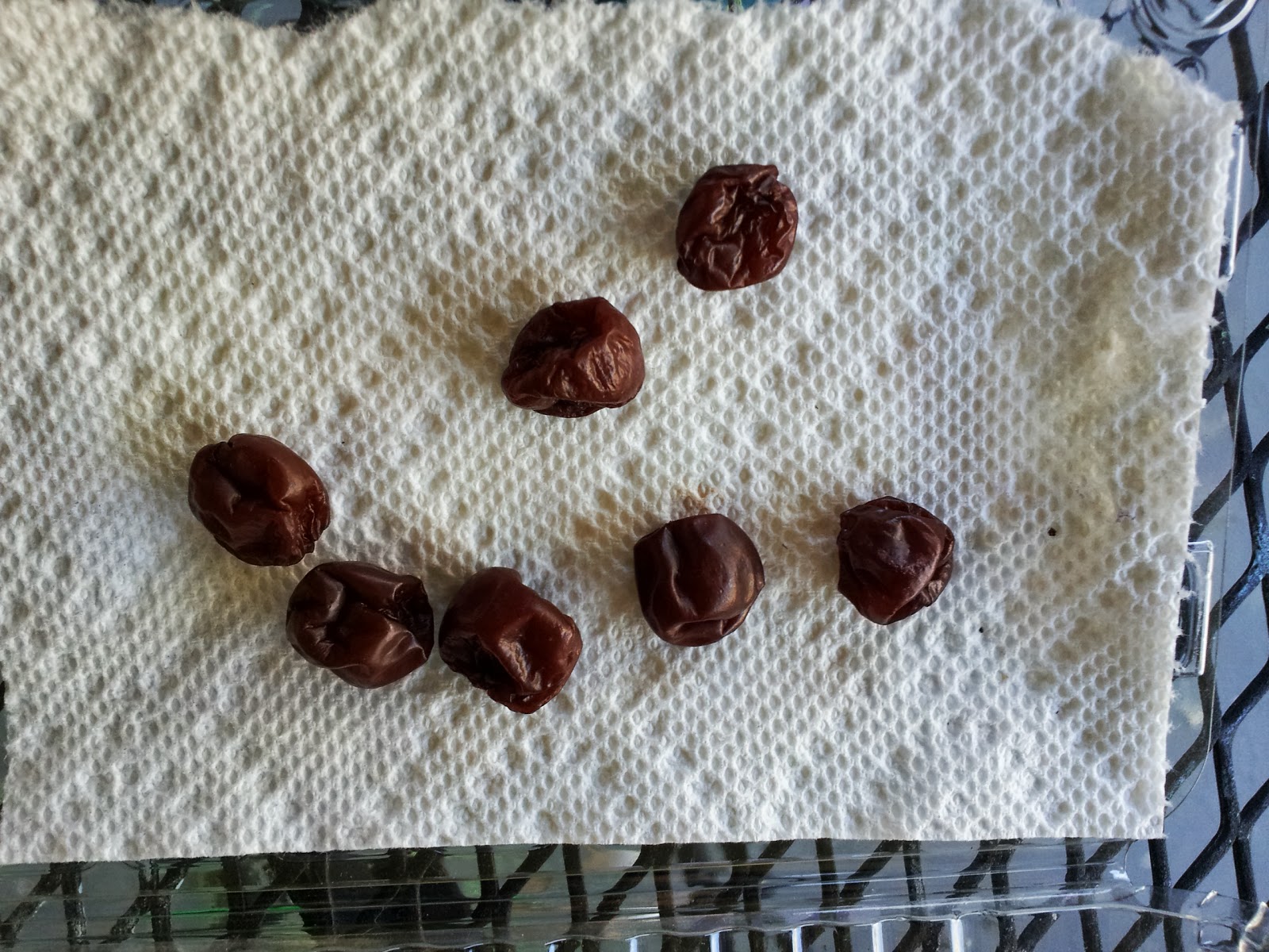 My Fruitful Life Grapes to Raisins Experiment