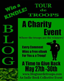 Blog Tour de Troops
