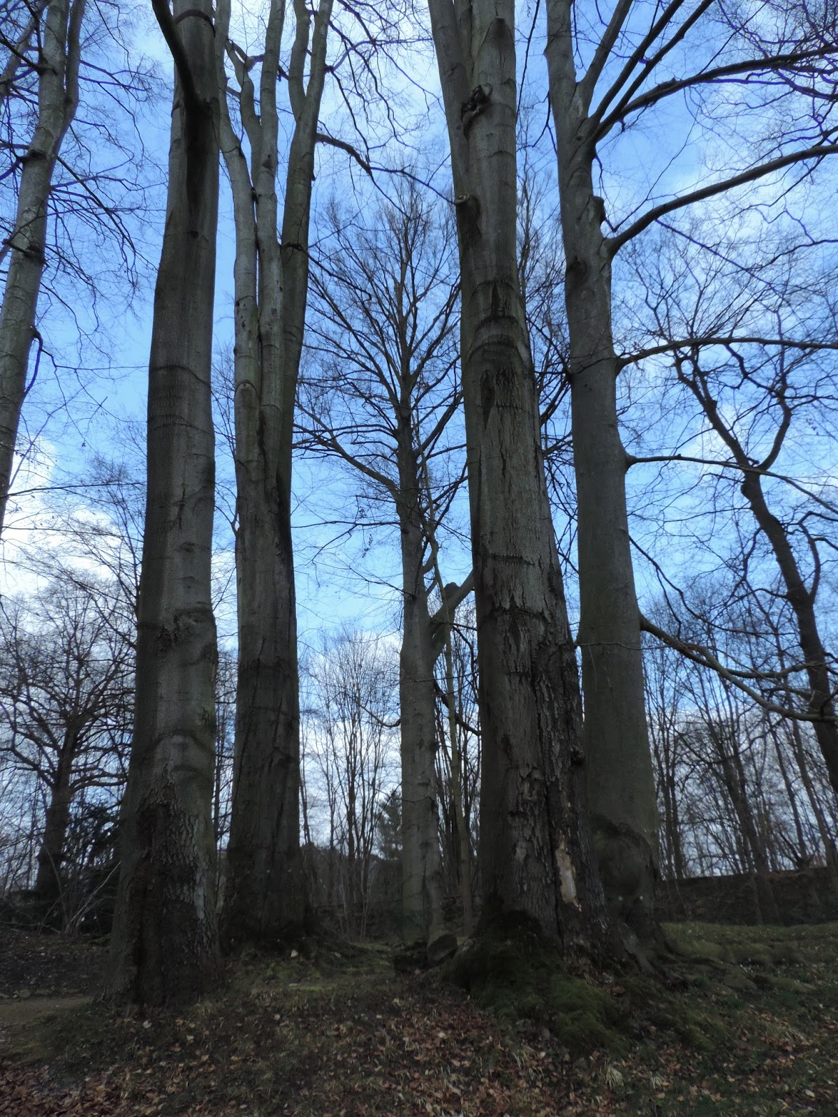 Frühlingswind geht durch die Gärten