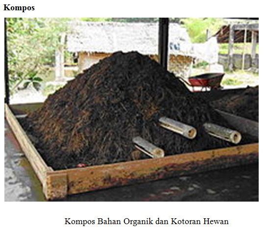 Makalah Pengolahan Lahan Dengan Pemanfaatan Bahan Organik