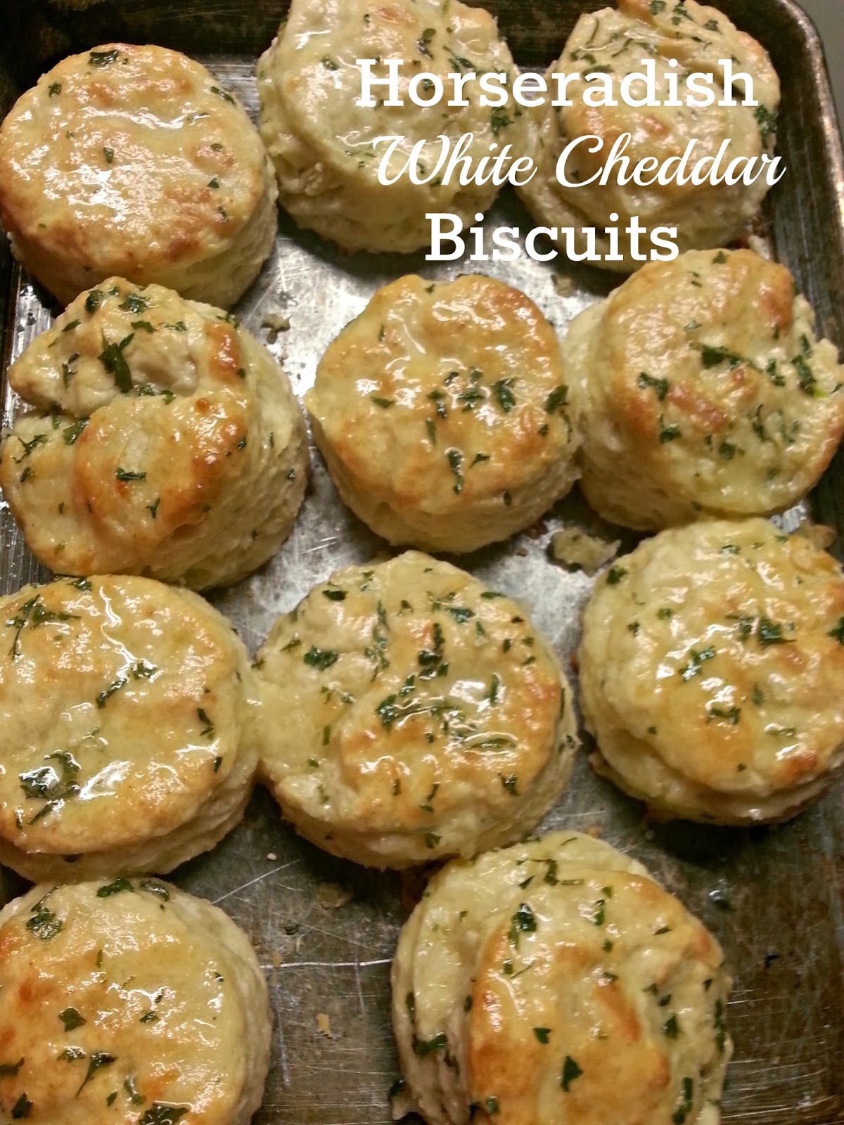 Southern Girl. City Swirl. Horseradish White Cheddar Biscuits w