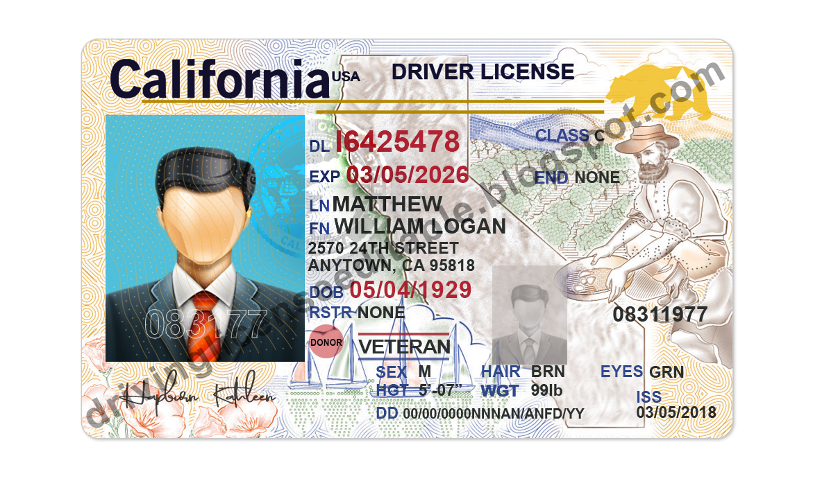 US Novelty Drivers License Templates