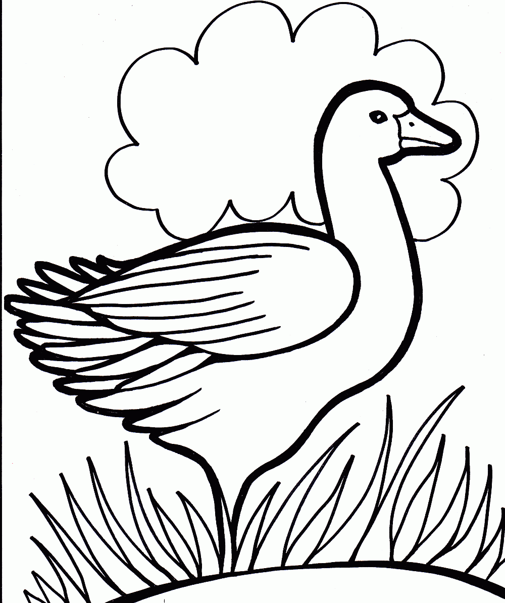 Coloring Page for Kids Duck Coloring Child Coloring