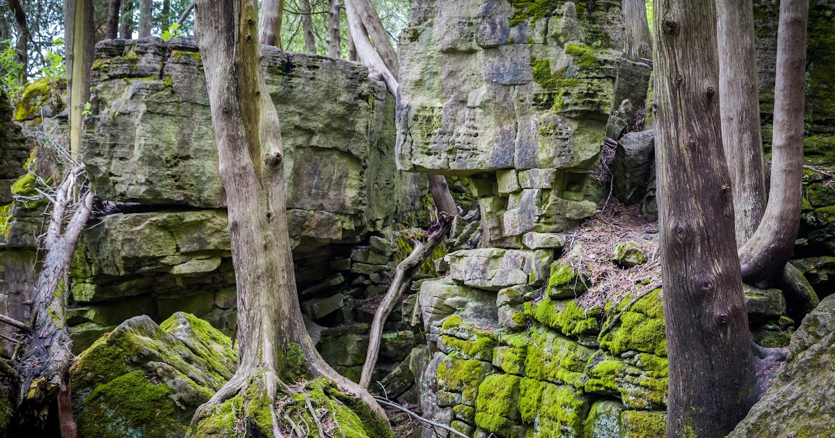 Bruce Trail in Ontario Turns 50 This Year Let's Hike to Celebrate