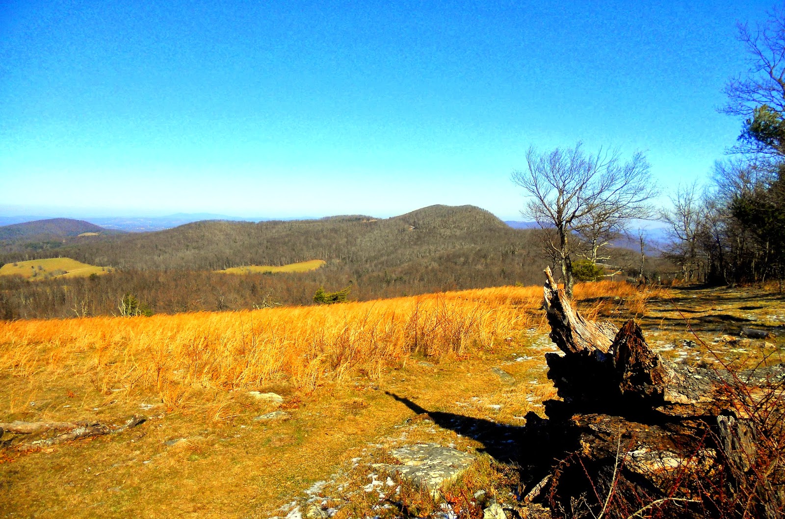Hiking with a Fat Bald White Guy Rocky Knob on the Blue Ridge Parkway