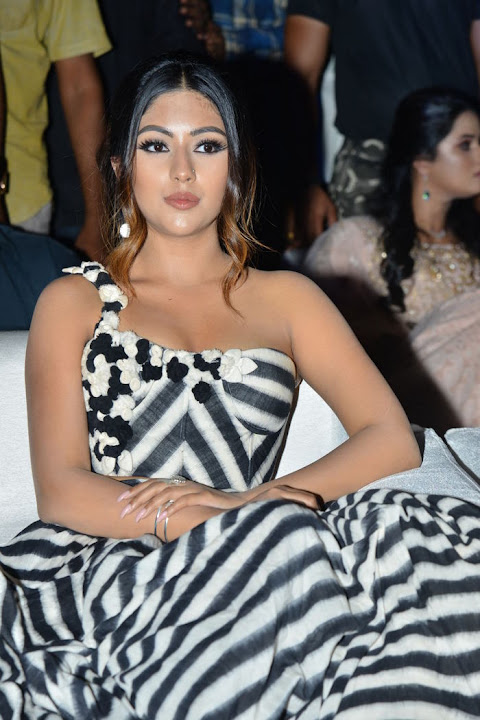 Anu Emmanuel at Naa Peru Surya Naa Illu India Pre Release Event