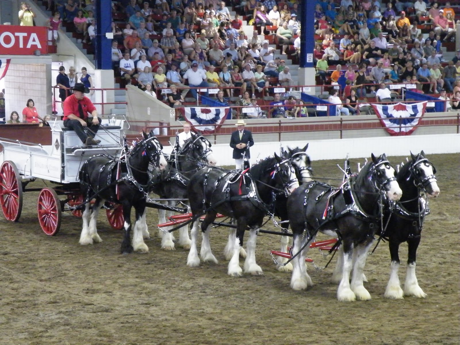 Evenstar Art the draft marathon 6 horse hitch