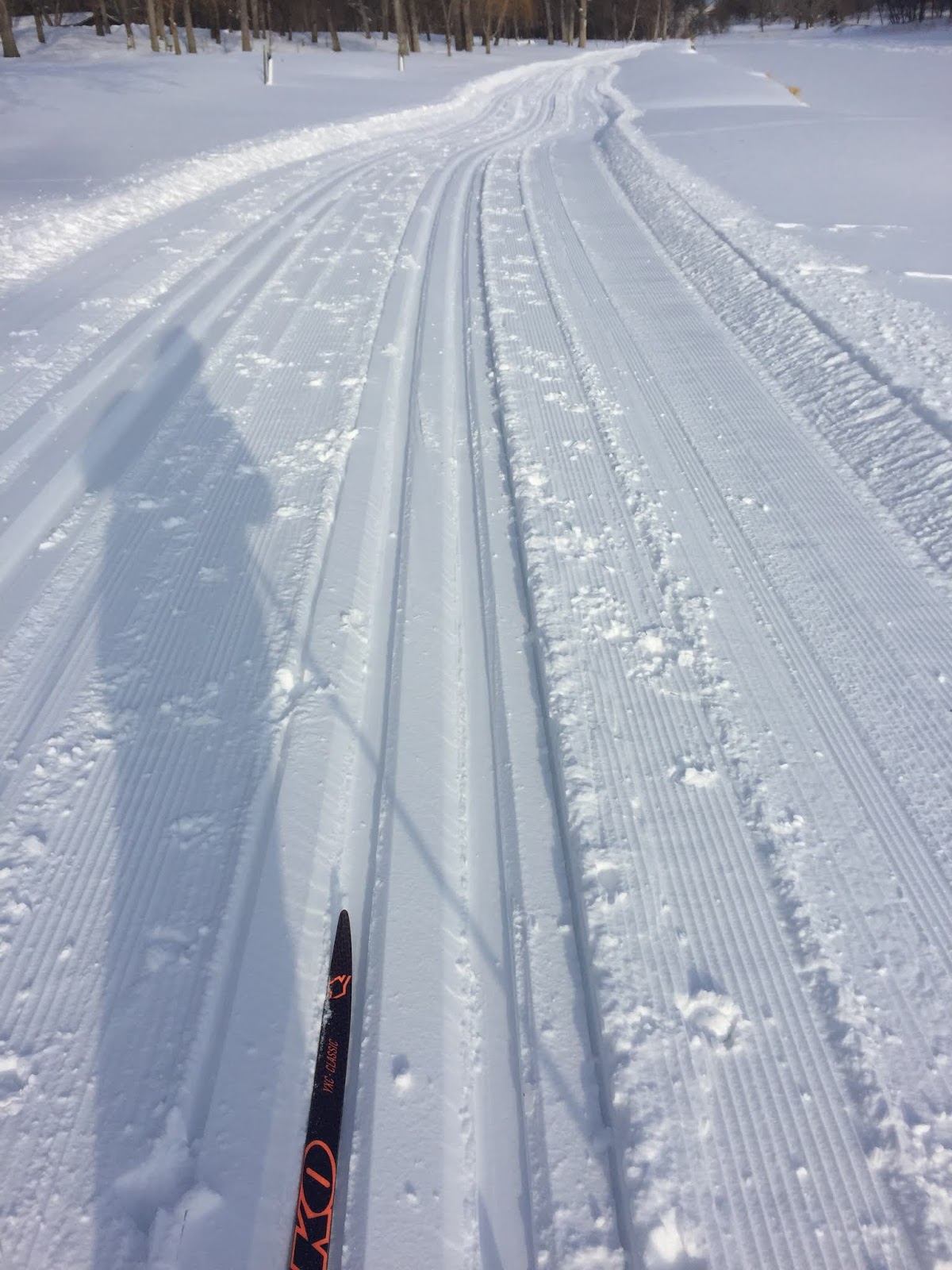 CrossCountry Skiing and Bicycling in Fargo, North Dakota Coming out