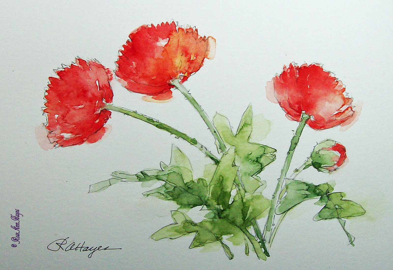 Watercolor Paintings by RoseAnn Hayes: Red Poppies Watercolor Painting
