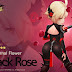 Seven Knights Hero Guide : Black Rose