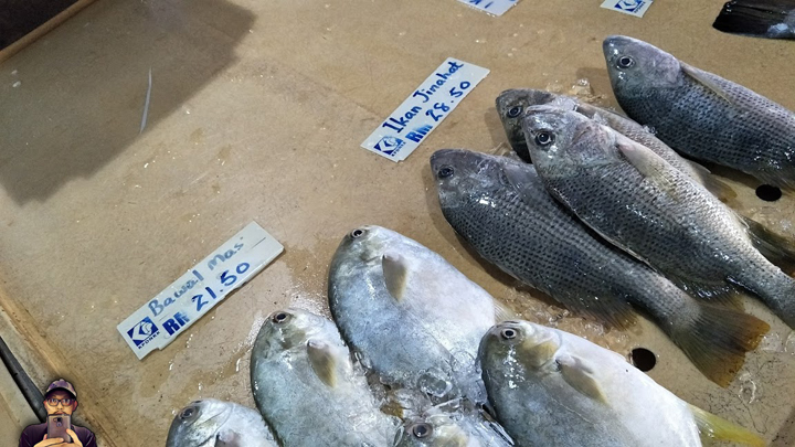 Harga Ikan Jenahak, Bawal Emas dan Siakap