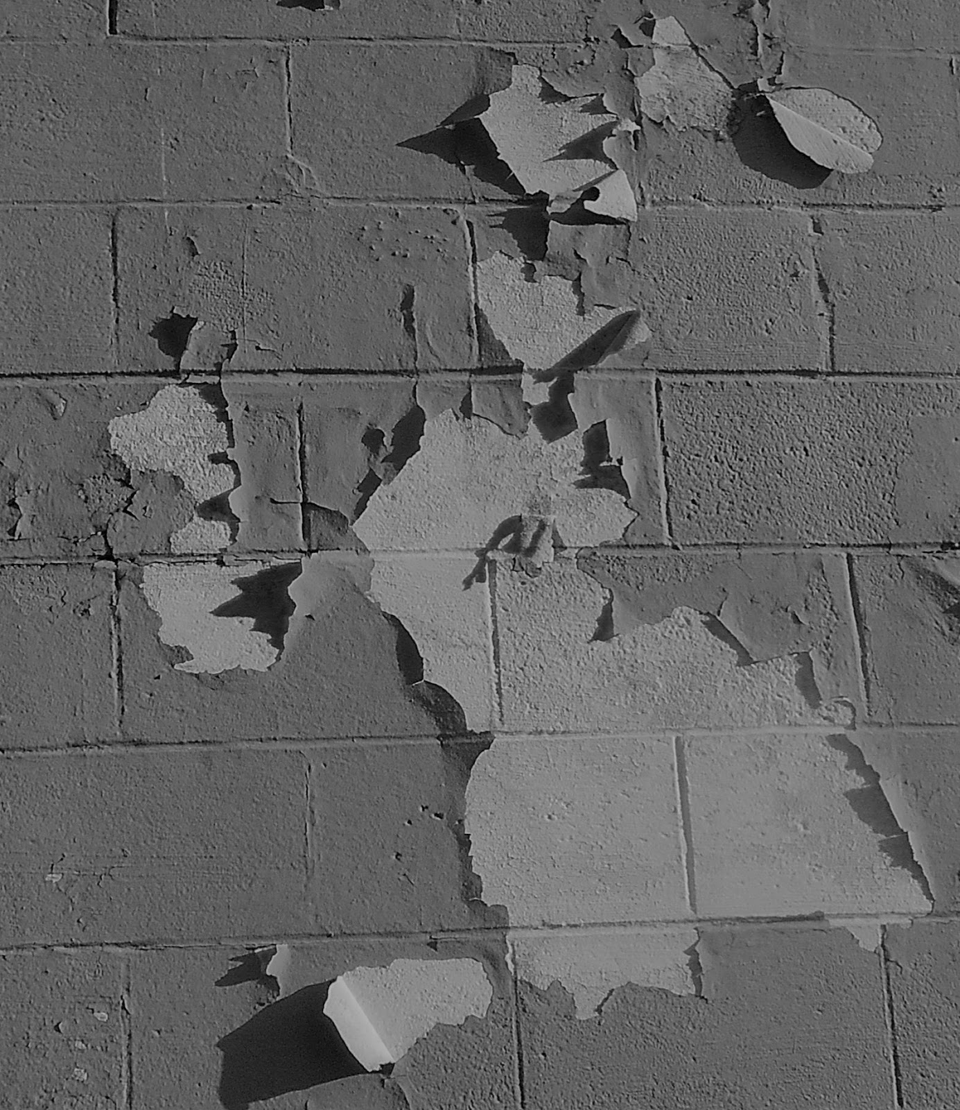 The GoFather Of Math Photoverio © 204 Watching The Paint Peel With