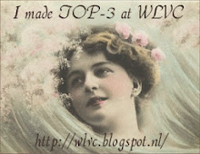 Joepie!!! Top 3 WLVC Blog Challenge 2
