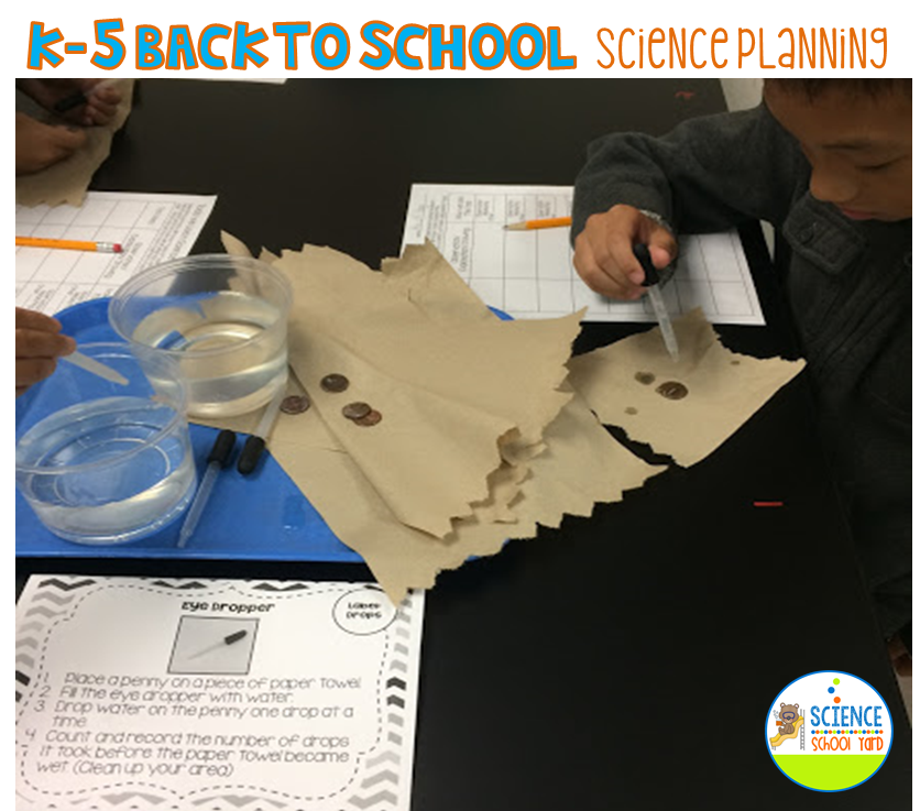 Back To School and What To Do In Science The Science School Yard