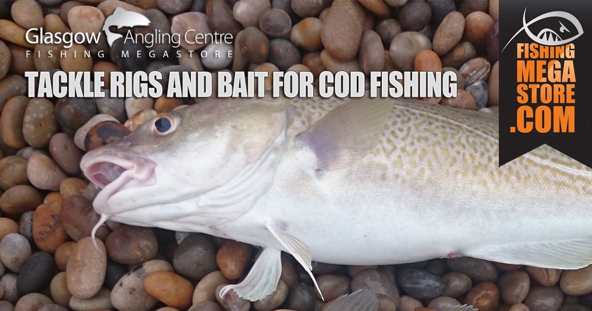Tackle Rigs and Bait For Cod Fishing