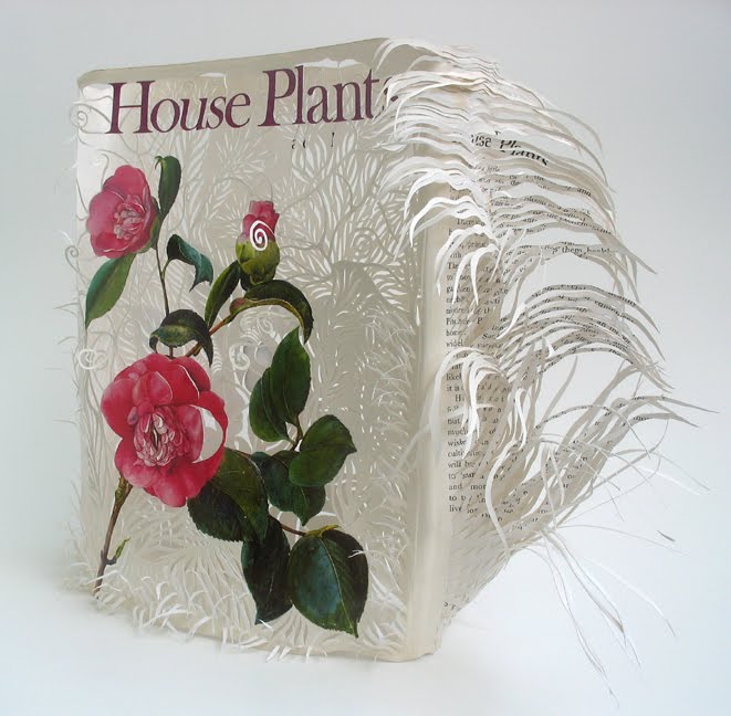 House Plants ~ jacket front