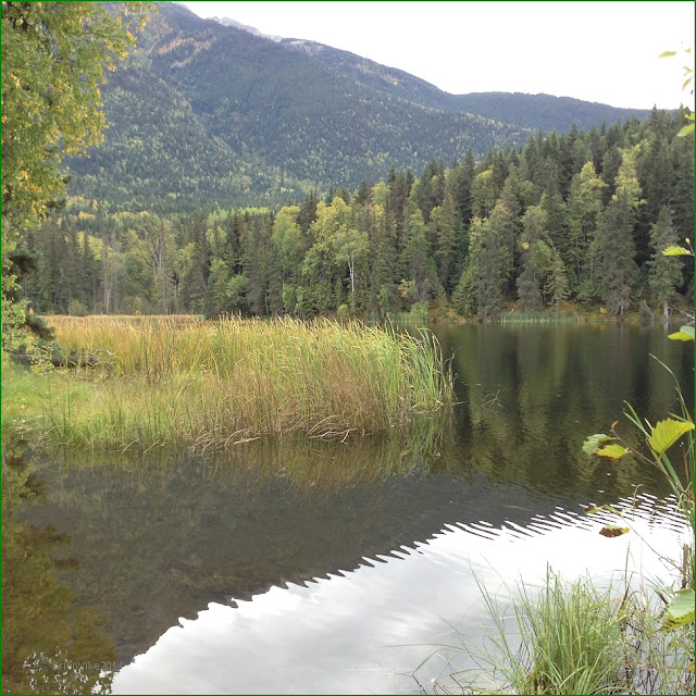 Northern Interior British Columbia Seeley Lake Provincial Park British Columbia Canada (Photos)