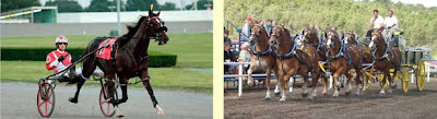 Juxtaposed photos of a single harness-racing horse with a single rider and a team of six pulling a large wagon with two men on it