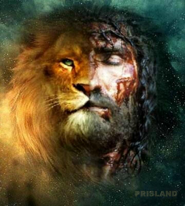 Lion Of Judah Photo By Marilyntraver Photobucket Lion Of Judah Jesus ...
