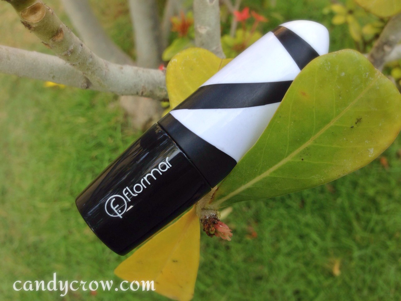 flomar lipstick review R09 flomar lipstick review R09