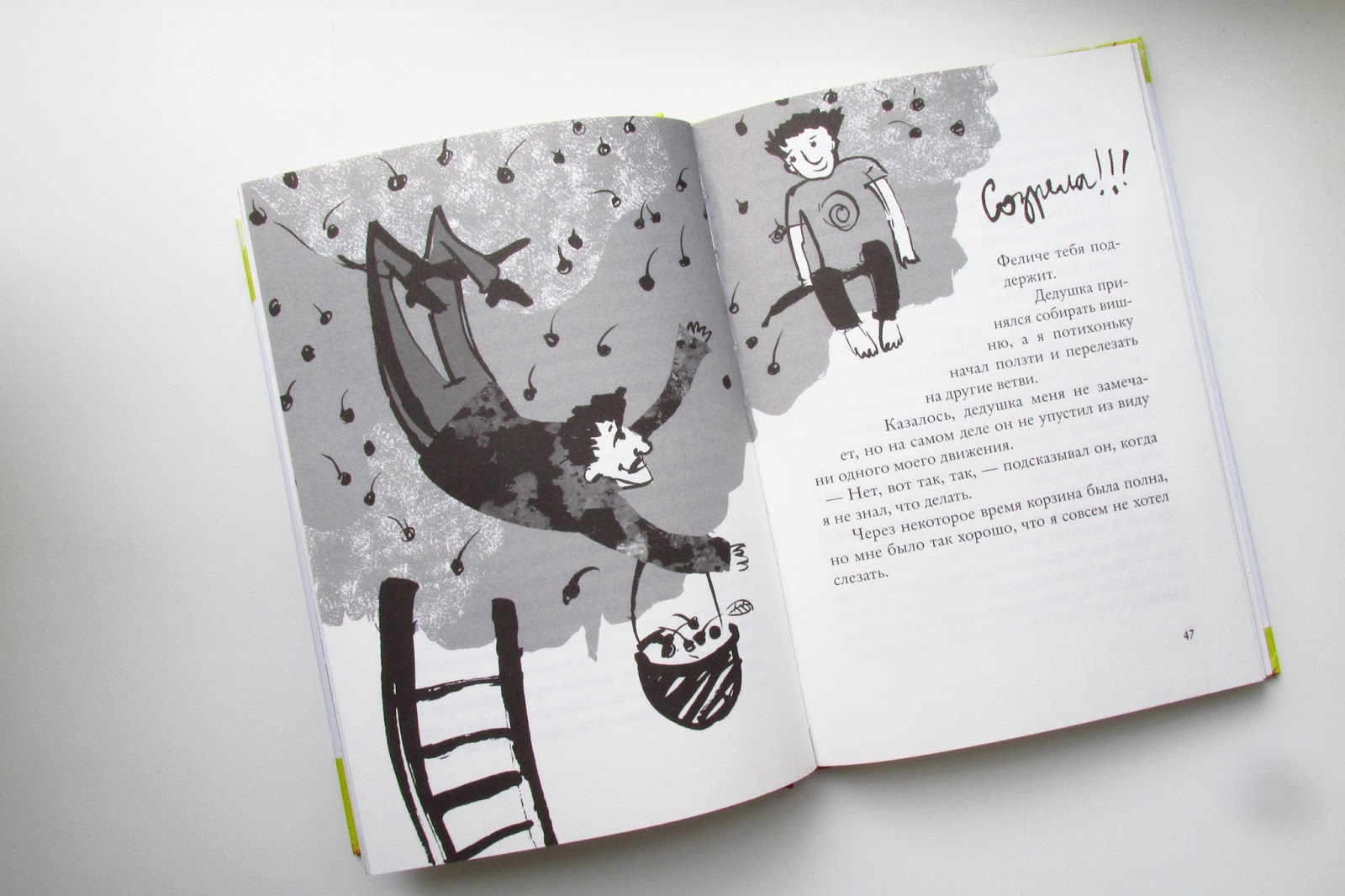 Анджела нанетти мой дедушка был вишней. Мой дедушка был вишней цитаты. Мой дедушка вишня книга. Иллюстрации к книге мой дедушка был вишней. Обложка книги мой дедушка был вишней.