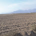 Sequía en el Valle Chicama afecta a miles de agricultores