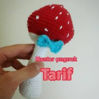 PATRON HONGO AMIGURUMI 27306