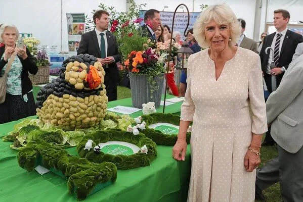 Prince Charles and Duchess of Cornwall met with King Goodwill and Queen Pumi of the Zulus. Burberry trench coat