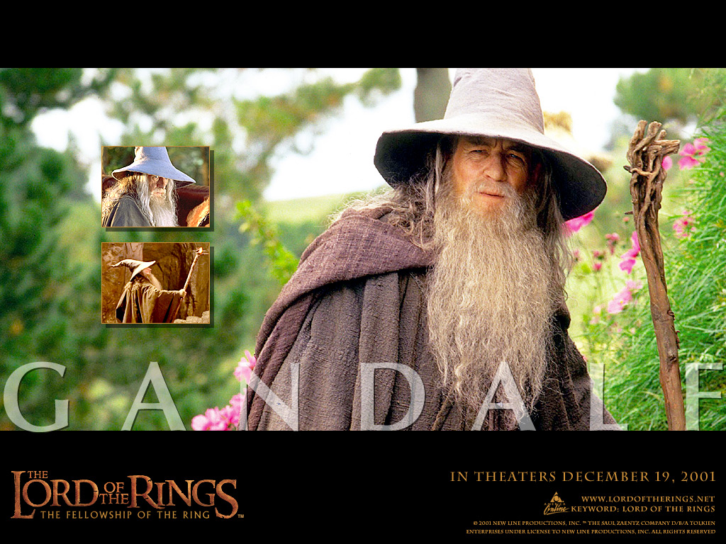 The Lord of the Rings: The Fellowship… for ios download free The Lord of the Rings: The Fellowship… for ios download free