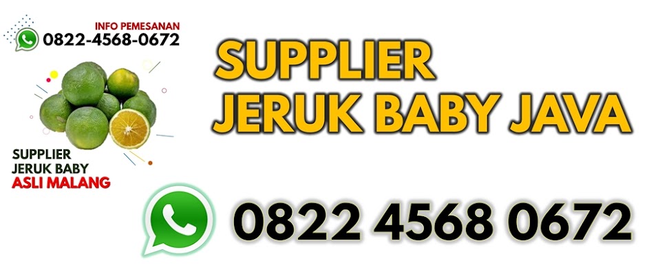 Supplier Jeruk Baby Java | 0822-4568-0672