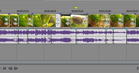 Seleccionar Clips Consecutivos De Forma Rápida Y Cómoda En Sony Vegas Aytuto Blog