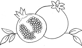 Sketsa Buah Delima Sketsa Buah Delima