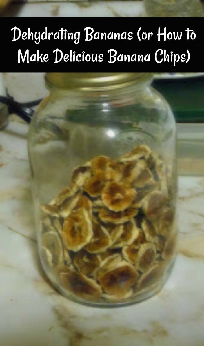 Living Life in Rural Iowa Dehydrating Bananas (or How to Make