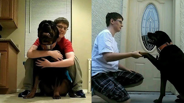 danielle asperger dog