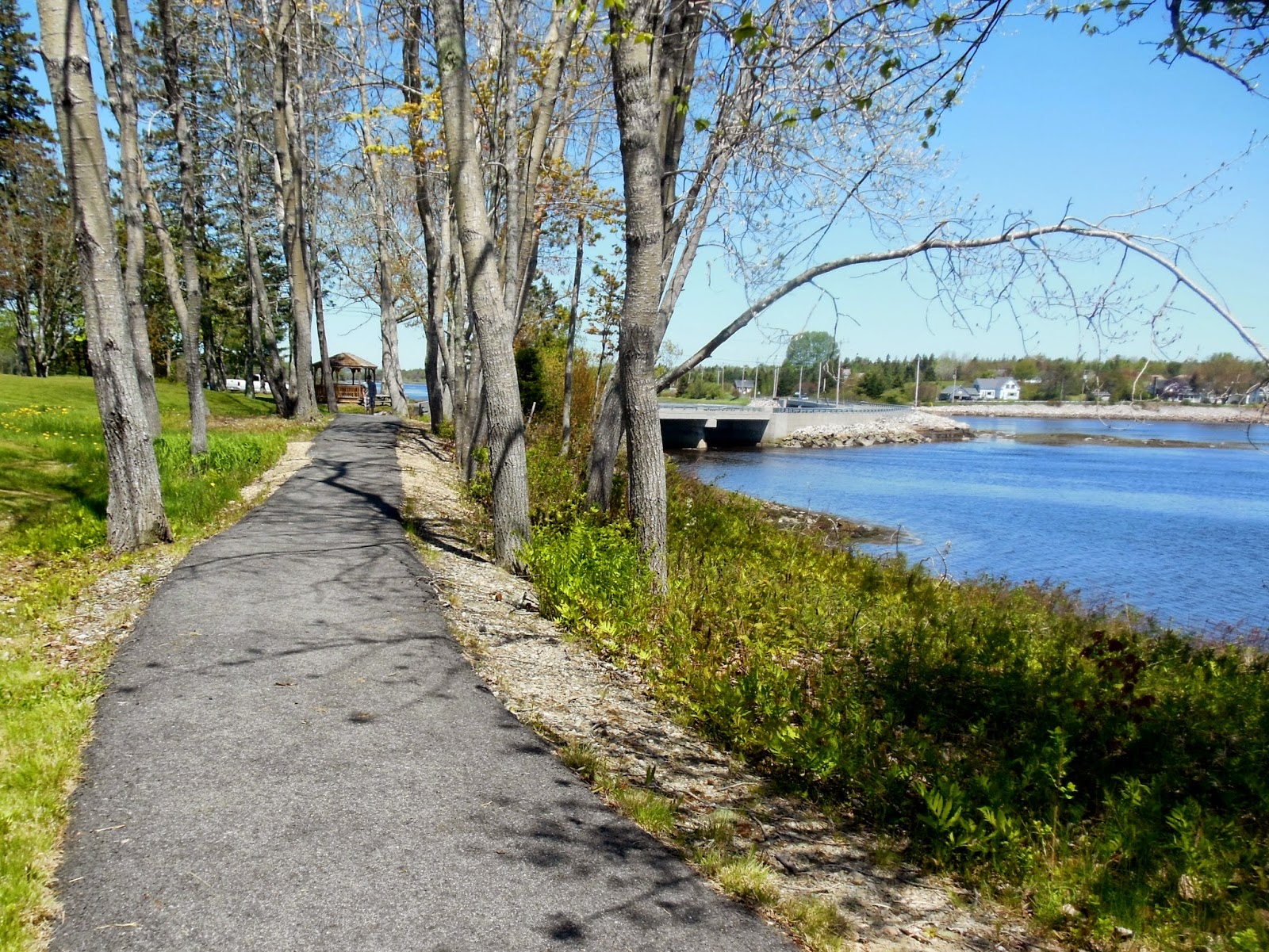 Field Notes and Photos A very short hike in Milbridge, Maine.