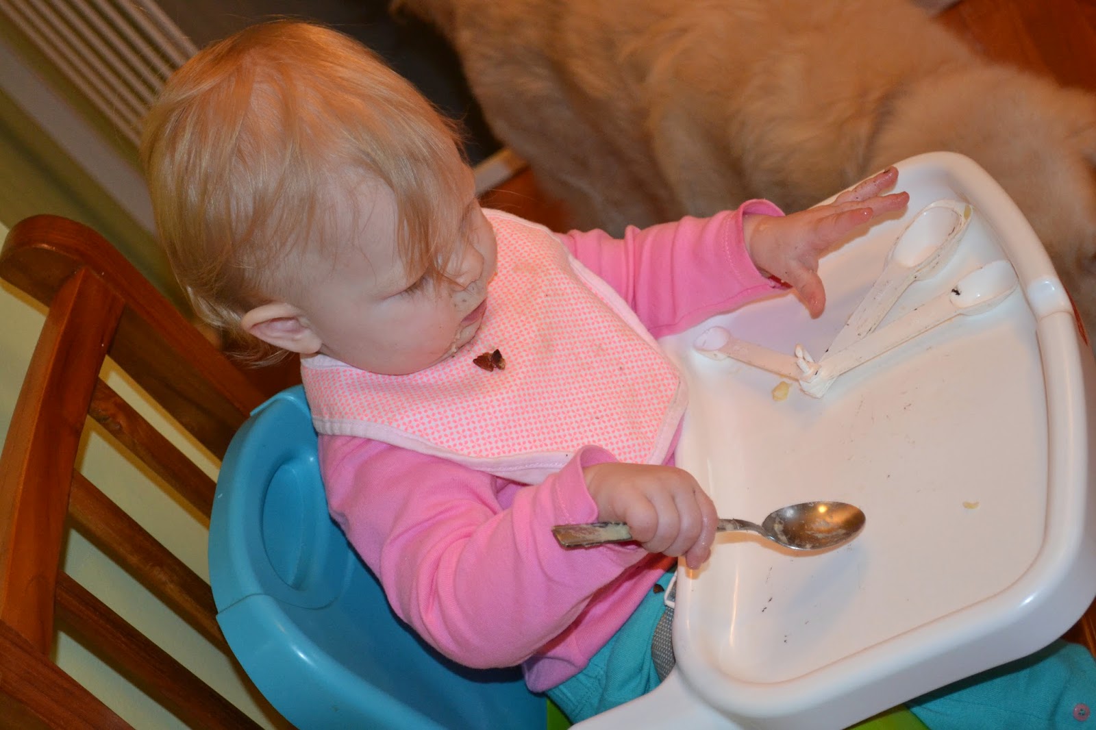 A Month of Dinners for a 15 Month Old