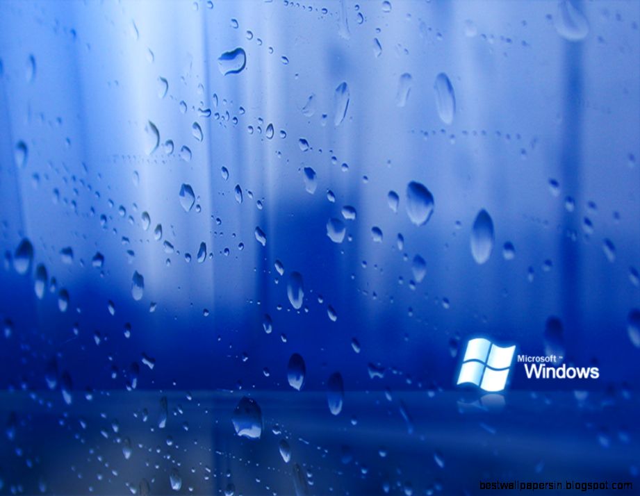 Microsoft Windows Wallpaper   88324