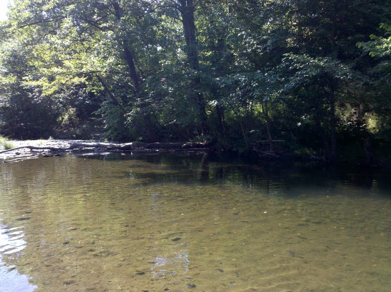 (NORTHERN) CALIFORNIA PARKIST Sonoma County Regional Parks Maxwell