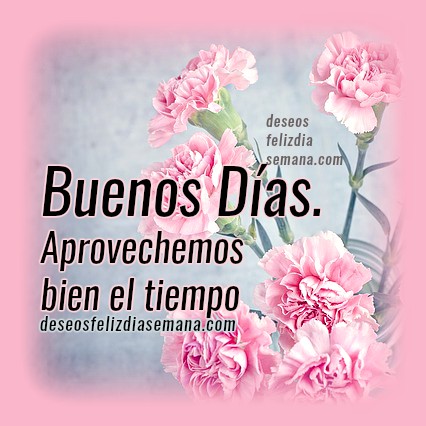 ☀️ Frases Bonitas con Imágenes de Buenos Días. ☀️ Motivación cristiana para  comenzar el día ✓ | Imágenes y Deseos Feliz Día de Semana