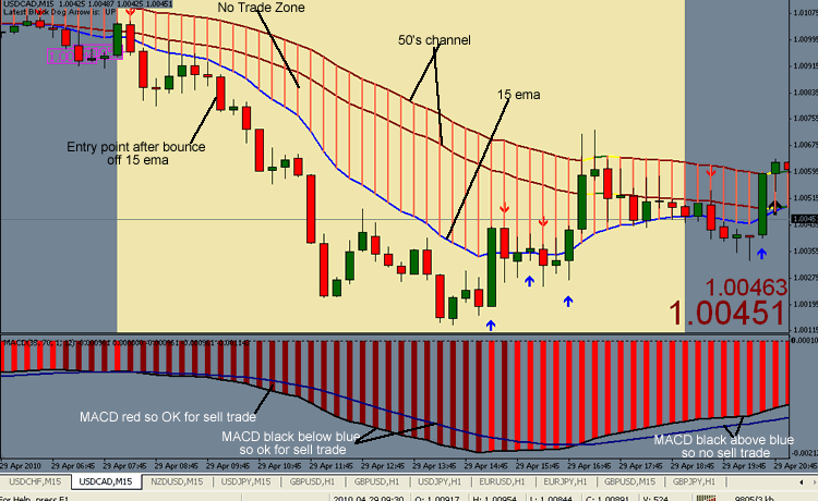Black dog forex trading system download