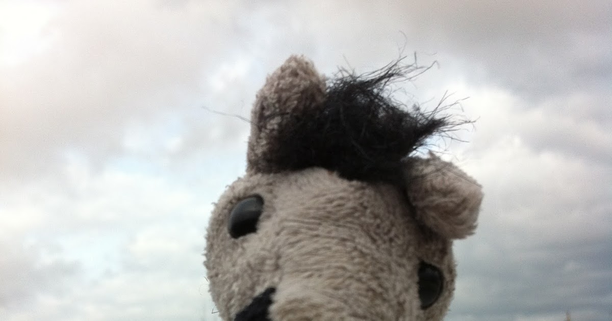 Mom at the Meat Counter EUROPEAN Horse meat Scandal