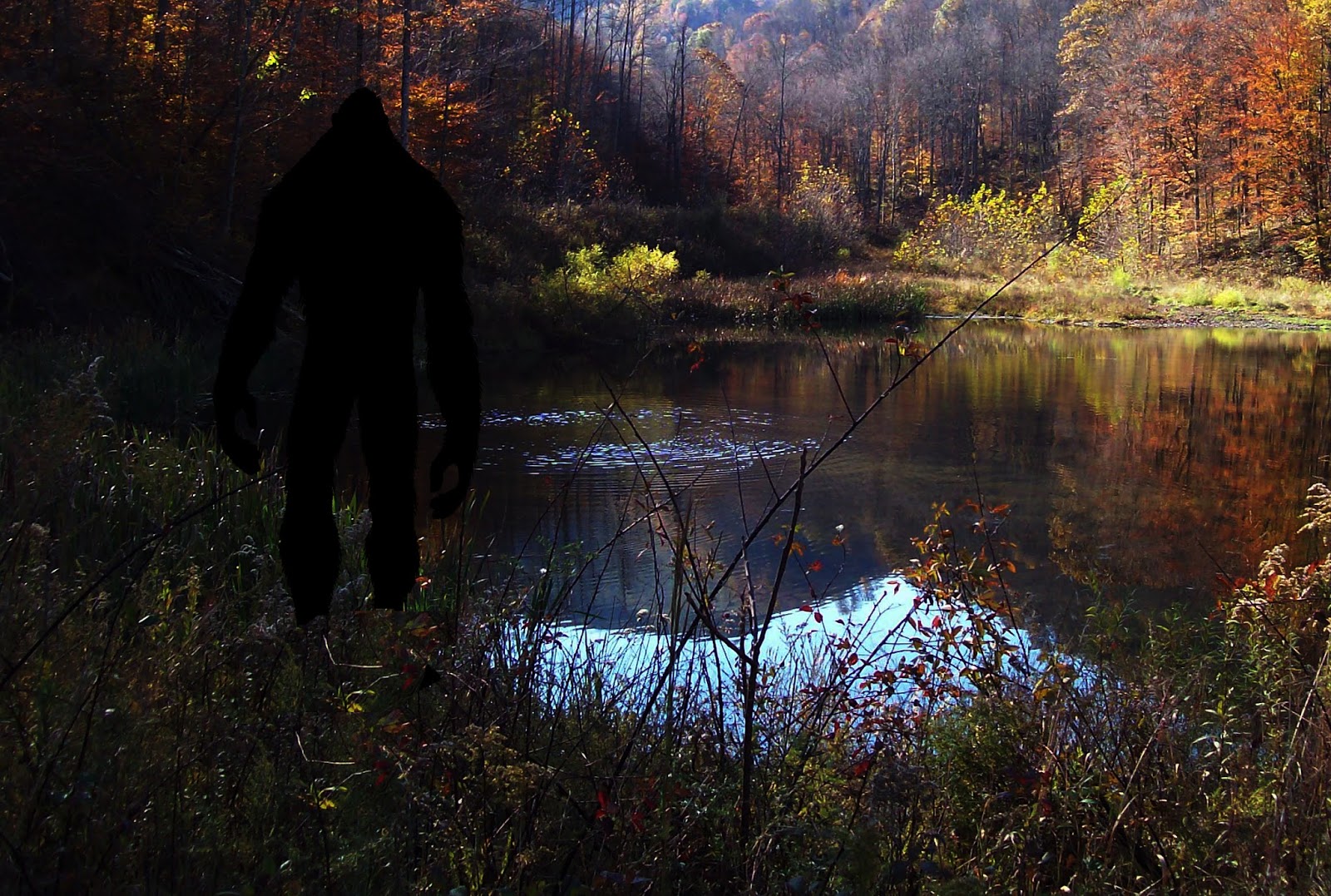 Bigfoot Seen Near A Pond The Crypto Crew