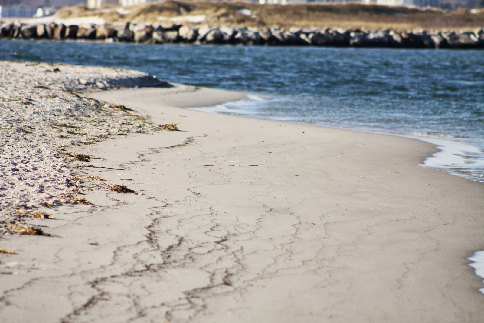 Ferry Beach/Prouts Neck Scarborough, Maine